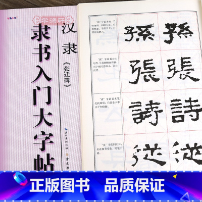 [正版]学海轩汉隶张迁碑隶书入门大字帖中国书法入门教程罗培源编著汉代隶书毛笔字帖书法临摹练书籍笔画部首结构布势讲解作品