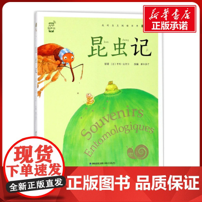 昆虫记有声版 蜗牛故事绘彩图注音版 小学生一二三年级必课外阅读书籍经典书目6-7-8周岁儿童读物幼儿绘本老师寒暑假正版