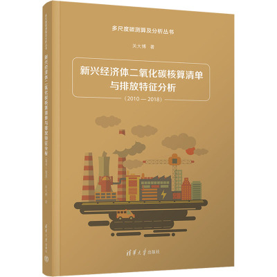 新兴经济体二氧化碳核算清单与排放特征分析(2010-2018)