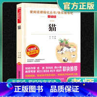 爱阅读-猫 小学通用 [正版]猫爱阅读名著课程化丛书青少年小学生儿童一二三四五六年级上下册必课外阅读物故事书籍快乐读书吧