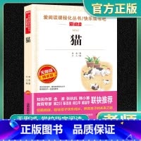 爱阅读-猫 小学通用 [正版]猫爱阅读名著课程化丛书青少年小学生儿童一二三四五六年级上下册必课外阅读物故事书籍快乐读书吧