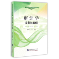 [M]实务与案例/孟宪胜/审计学-9787509567357