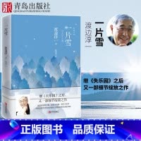 [正版]一片雪 渡边淳一的书 小说外国文学小说两性关系小说人性小说书籍 现代当代言情小说恋爱书籍