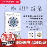 生命绽放：克里斯的自然艺术 中国国家地理昆虫标本艺术画册