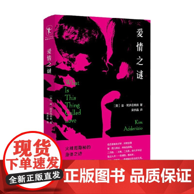 爱情之谜 金·阿多尼兹奥 著 文学