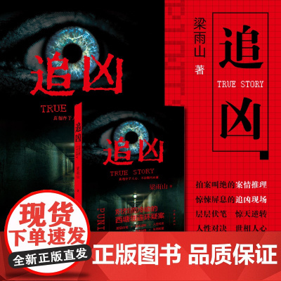 追凶(拍案叫绝的案情推理,惊悚屏息的追凶现场悬疑小说) 梁雨山 作家出版社 正版书籍