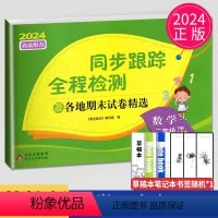 [正版]2024新版亮点给力同步跟踪全程检测及各地期末试卷精选二年级下册数学苏教版SJ江苏小学2年级下学期练习册大试卷