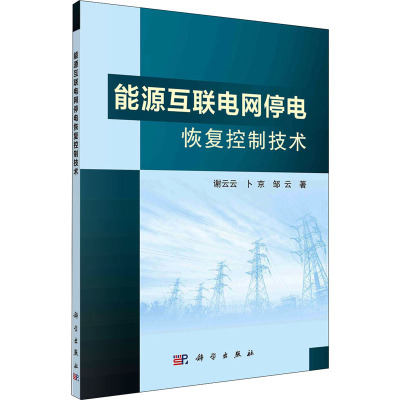 能源互联电网停电恢复控制技术