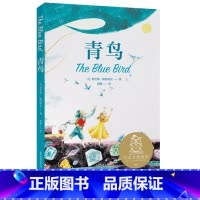 青鸟 [正版]青鸟 莫里斯·梅特林克 诺贝尔文学奖得主 经典童话 11-12岁 中文分级阅读六年级阅读范本 青少年读物