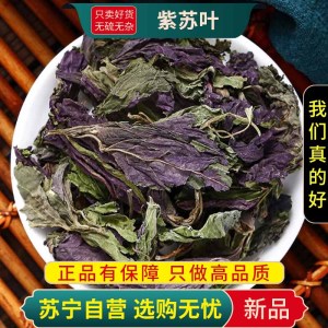 甄选紫苏叶100克正品煮水泡茶苏叶紫苏子苏新货无硫干货另售甘草山楂