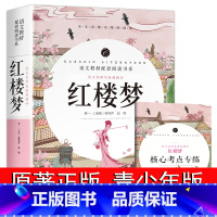 [正版]红楼梦原著 高中版版高中生课外书籍必读 经典初中版曹雪芹原版百花完整版小学生整本书阅读高一文言文版无删减版青少