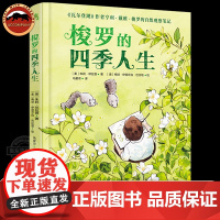 梭罗的四季人生 瓦尔登湖作者亨利戴维梭罗传记绘本 融合了文学哲学历史社会学植物学等名人传记成长教育自然智慧父母课堂自然体