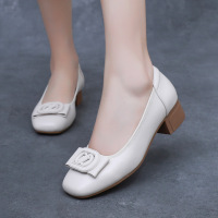 春秋新款真皮浅口女单鞋低帮软底休闲圆头豆豆鞋中跟四季女鞋