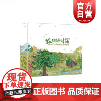 我的针叶林 自然DIY 亲子互动 科普绘本 科普读物 自然科学 少年儿童出版社