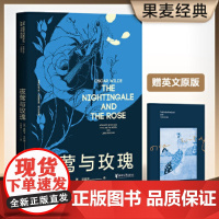 夜莺与玫瑰 复旦教授谈瀛洲翻译 豆瓣万人评价9.0高分译本 原版彩插珍藏版 王尔德 浙江文艺出版社 正版书籍