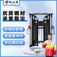 探仕狼 小飞鸟综合训练器 引体向上力量器械多功能龙门架健身器材 Z-XF125
