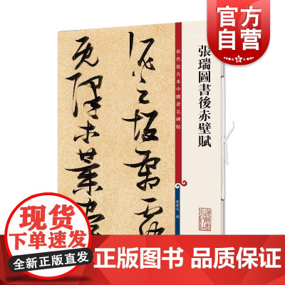 张瑞图书后赤壁赋 孙宝文编 书法篆刻艺术 正版图书 上海辞书出版社彩色放大本中国著名碑帖