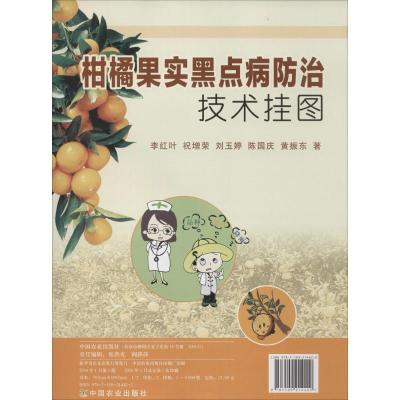柑橘果实黑点病防治技术挂图