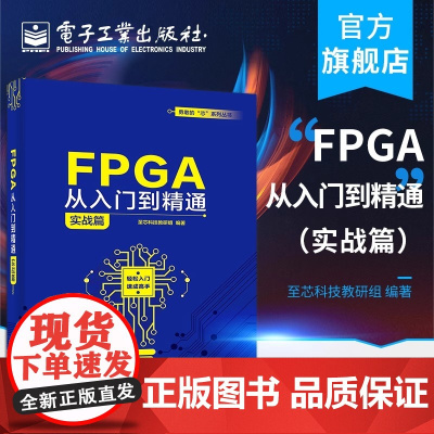 FPGA从入门到精通 实战篇