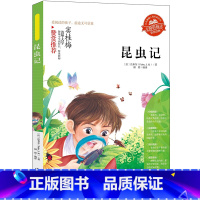 昆虫记 [正版]小学生骆驼祥子呼兰河传童年增广贤文中外神话故事昆虫记假如给我三天光明绿山墙的安妮柳林风声中国古代寓言故事