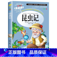 昆虫记 [正版]昆虫记原著完整版法布尔著全集小学生三四年级下册必读的课外书老师美绘少儿版人民儿童文学教育阅读书籍山东美术