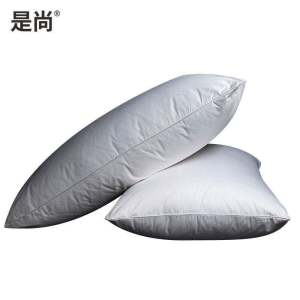 是尚 枕头 羽丝绒枕芯 550x850mm/个