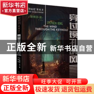 正版 穿过锁孔的风 [美]斯蒂芬·金 著 人民文学出版社 9787020133