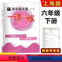 数学 六年级下 [正版]2023春华东师大版一课一练 数学 六年级第二学期/6年级下 华东师范大学出版社 上海版配套教