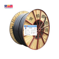 常顺鑫 低压铜芯电缆ZC-YJV22 3×16+1×10 米