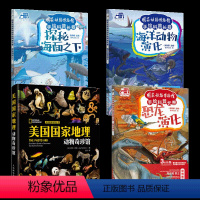 [4本]国家动物博物馆套装 [正版]4册 美国国家地理动物奇珍馆+国家动物博物馆手绘科普长卷 探秘海面之下+海洋动物+恐