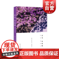 正版 再见埃琳娜 金仁淑著 聂宝梅译 韩国九十年代新文学场景作家 短篇小说集 韩国文学作品选读 上海译文出版社