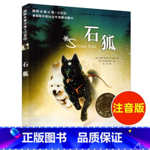 大字注音版 石狐 [正版]国际大奖小说 石狐 注音版 小学生课外阅读书籍一年级二三年级新蕾出版社 6-7-8-9-10