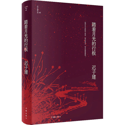 踏着月光的行板(迟子建作品)茅盾文学奖、鲁迅文学奖得主迟子建小说代表作,四个各具魅力的情爱世界。