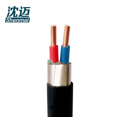 沈迈 铜芯电缆 ZR-KVV22-450/750V-2*2.5mm² /米