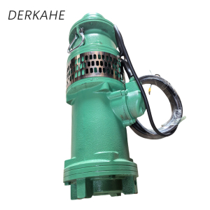 DERKAHE 油浸式潜水电泵 QY10-54/3-3 台