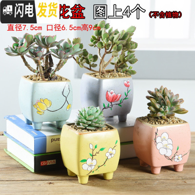 三维工匠多肉简约陶瓷绿植塑料创意紫砂复古粗陶多肉植物小花盆批发 大四方花盆图上4个 小花盆容器