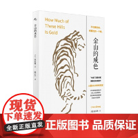 金山的成色 张辰极 著 小说