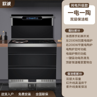 欧诚集成灶L22-1一电一陶+体感大屏+双层保洁柜