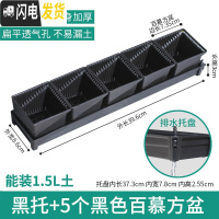 三维工匠控根多肉花盆套装组合塑料创意个性简约透气北欧风 [新款加厚盆]+[窄排水黑托]+5个黑盆(7.35cm盆花盆容器