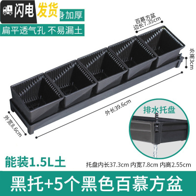 三维工匠控根多肉花盆套装组合塑料创意个性简约透气北欧风 [新款加厚盆]+[窄排水黑托]+5个黑盆(7.35cm盆花盆容器