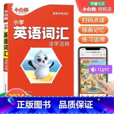 小学英语词汇 小学通用 [正版]2025新英语完形填空与阅读理解四五六年级阅读强化训练练习册小白鸽小升初英语词汇语法积累