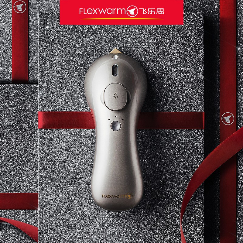 飞乐思(Flexwarm) 无线小熨斗P3(钛金灰) 豪华版