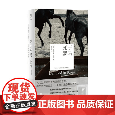 死于罗马 沃尔夫冈·克彭 著 小说