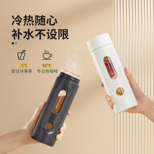 炊大皇玻璃杯茶杯男高硼硅便携防摔防爆双层泡茶杯子女高颜值水杯太空灰420ml GCS42A7
