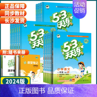 数学 人教版 四年级下 [正版]湖南2024秋季53天天练一二年级三年级四五六年级下册语文数学英语人教苏教外研湘少版小学