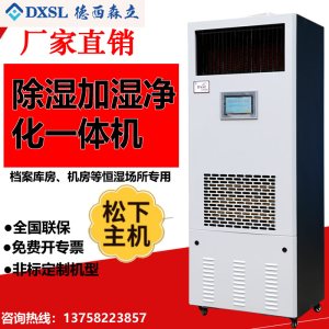 德西森立DXSL-160图书馆档案室实验室商用除湿加湿一体机恒湿机