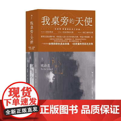 我桌旁的天使 珍妮特·弗雷姆 著 外国文学