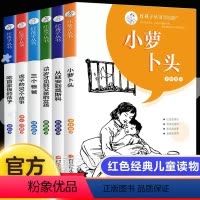 [正版]红孩子丛书全6册小萝卜头的故事书革命红色经典儿童读物书籍爱国教育小学生四五六年级课外书必读6-12岁青少年文学