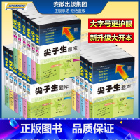 语文 四年级下 [正版]2024新尖子生题库一1二2三3四4五5六6年级上下册数学语文人教版北师版下一课一练课堂同步练习