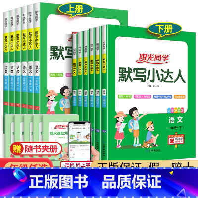 小学语文知识大全 三年级上 [正版]2023阳光同学默写小达人一二年级上册三四五六年级下册人教版小学语文专项训练同步配套